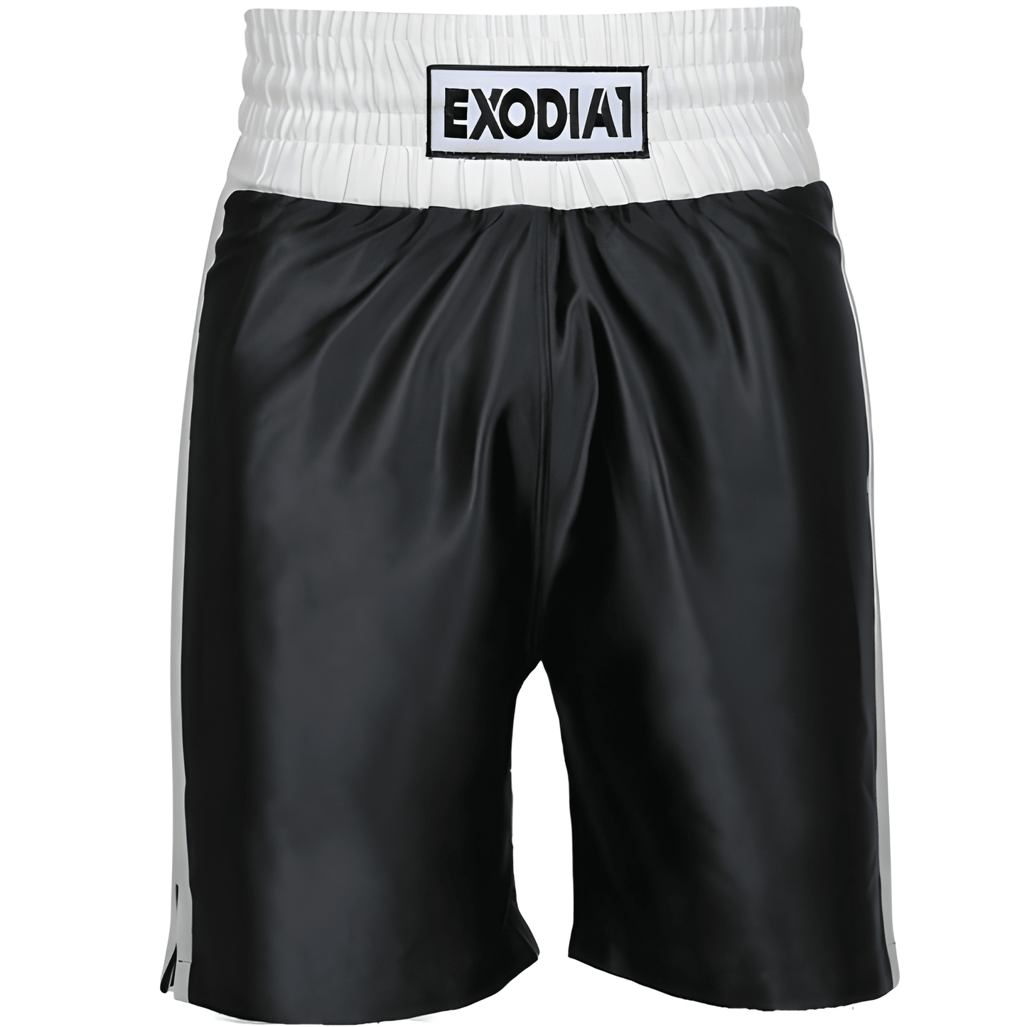 Edition 1 Satin Boxing Shorts Black/White