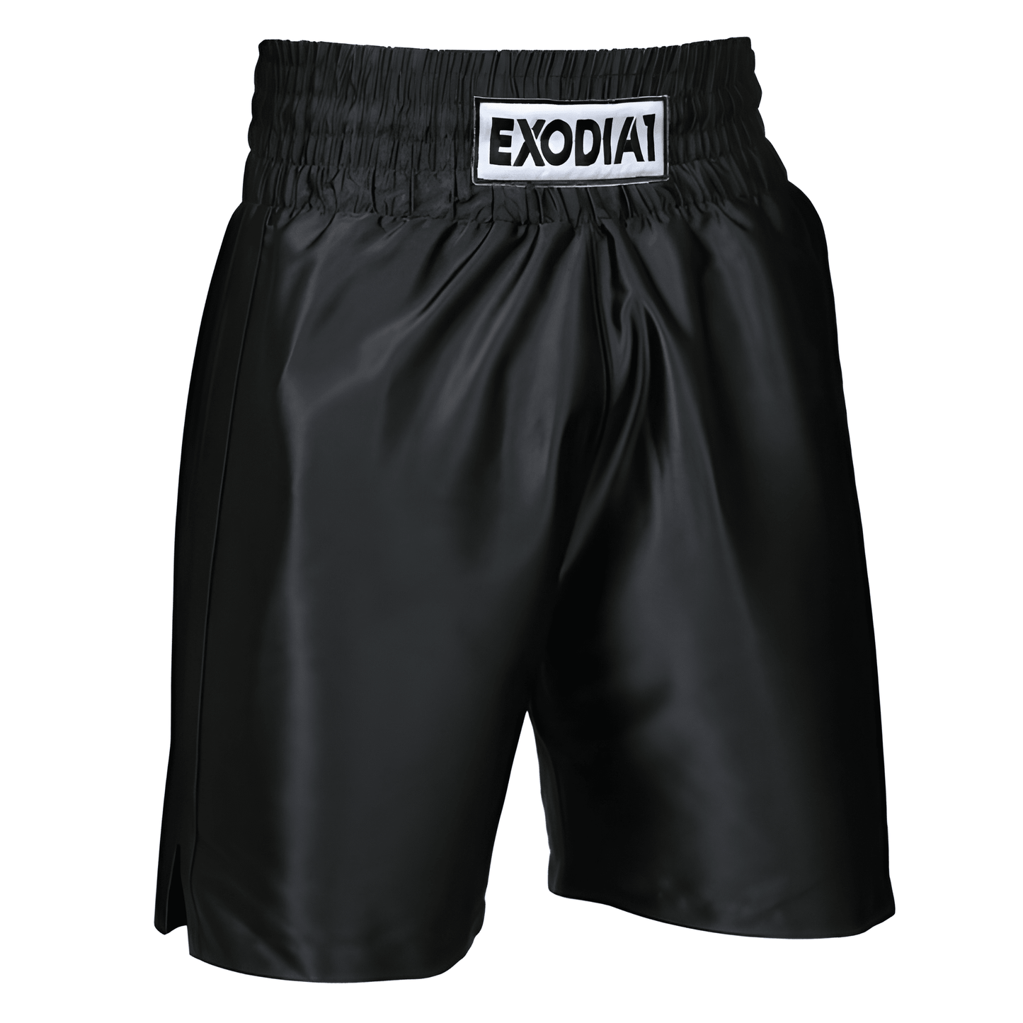 Edition 1 Boxing Shorts Black