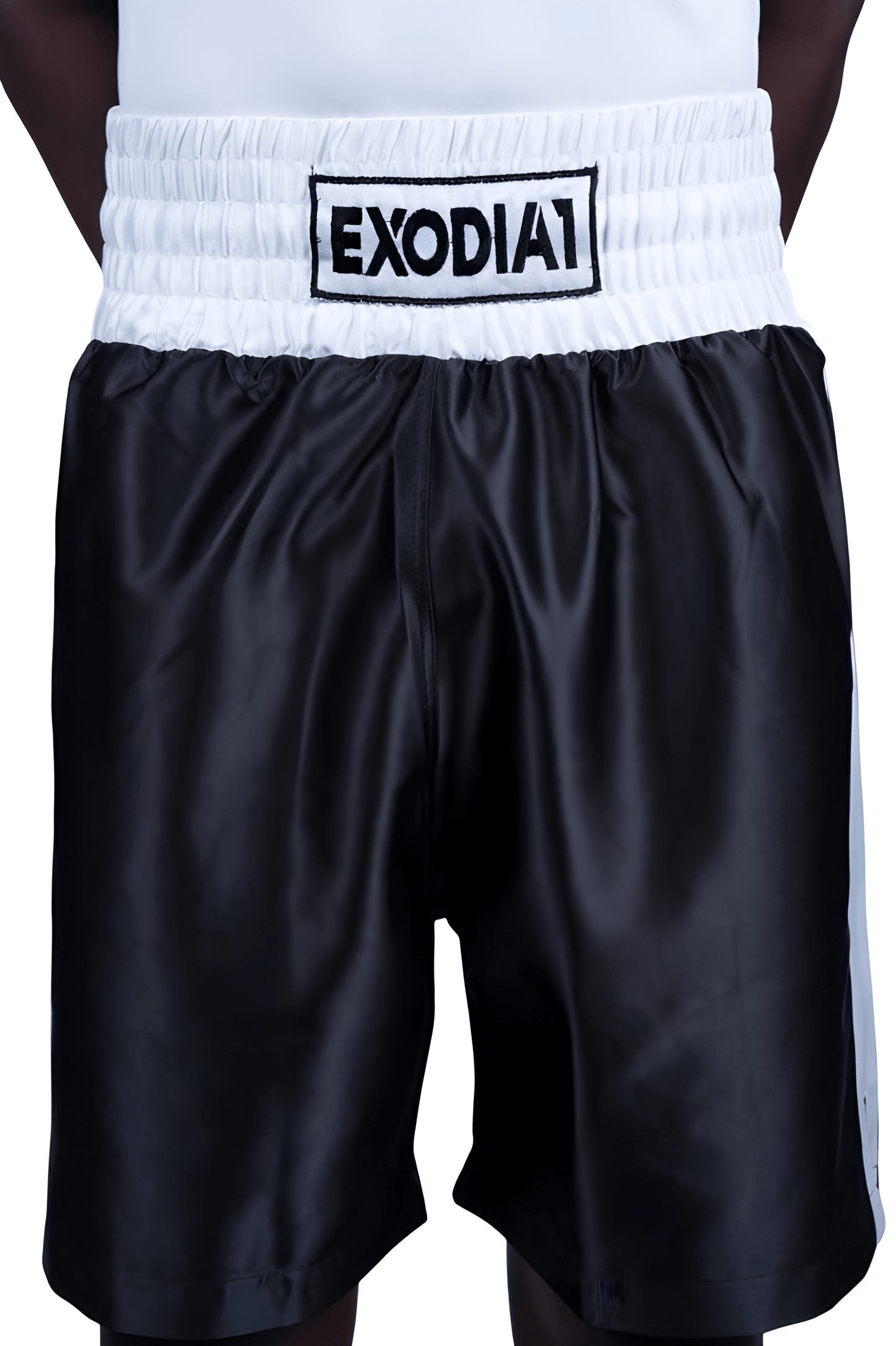 Edition 1 Satin Boxing Shorts Black/White